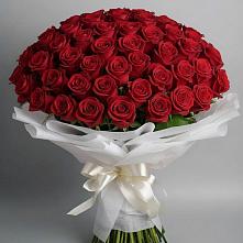 Букет 101 Красная роза Блэк Мэджик в Вишневогорске