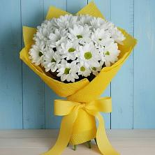 Букет цветов из:  Хризантемы в Вишневогорске