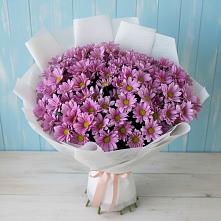 Букет цветов из:  Хризантемы в Вишневогорске