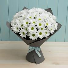 Букет цветов из:  Хризантемы #REPLACE_PRED# Вишневогорске