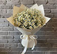 Букет цветов из:  Ромашки #REPLACE_PRED# Вишневогорске