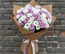 Букет цветов из:  Хризантемы в Вишневогорске
