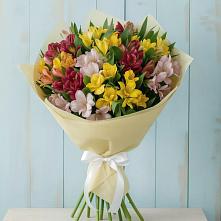 Букет цветов из:  Альстромерии в Вишневогорске