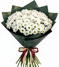Букет цветов из:  Хризантемы #REPLACE_PRED# Вишневогорске