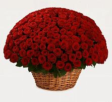 Премиум букет из: Розы в Вишневогорске