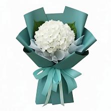 Букет цветов из:  Гортензия в Вишневогорске